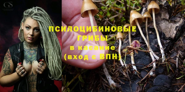ECSTASY Бронницы