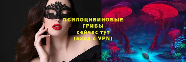 мет Бородино