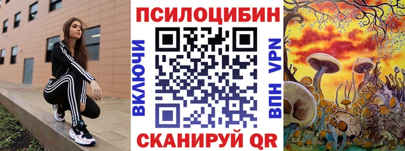 купить  цена  Новосокольники  Галлюциногенные грибы ЛСД 
